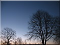 The Moon and Venus (1)