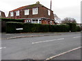 Bellin Close hedge, Caerleon