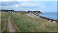 Path in the dunes at Boulmer Haven