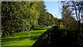 Manchester, Bolton & Bury Canal above Prestolee