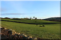 Farmland at Shancastle