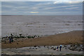 Burnham-on-Sea : Berrow Sands