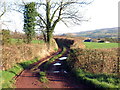 Llwybr Garreg Lwyd / Garreg Lwyd Path