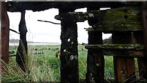 SO6804 : Purton Hulks by the Sharpness Canal by Colin Park