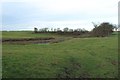 NU2208 : Field and pond west of High Buston by Graham Robson