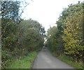 Woodland at the south of Corgee Moor