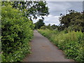 National Cycle Route 1 on old railway track, looking north