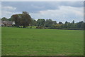 Field on the edge of Harston