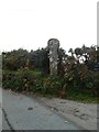 Stone cross at entrance to Lesquite Farm