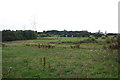 View over waste land of pylons and factory