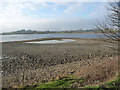 Low water level at Ardsley reservoir