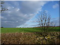 Blue skies turn grey at Ardsley reservoir