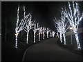 NY5726 : Festive lights at Center Parcs Whinfell - evening by M J Richardson