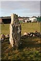 Craighead Stone Circle (3)