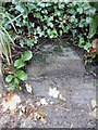 Old Milestone by the A4136, May Hill, Monmouth