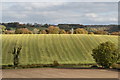 SU7289 : Striped fields near Pishill by Simon Mortimer