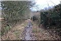 Bridleway near Buckholt Farm