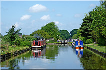 SJ8512 : Shropshire Union Canal east of Wheaton Aston in Staffordshire by Roger  D Kidd