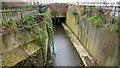 The boxed-in River Chelt