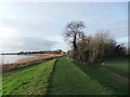 River Ouse near Saltmarshe