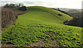 Farmland near Landscove