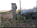 Llwybr Home Farm / Home Farm Path