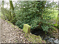 Stone carved with initials alongside Glovershaw Beck