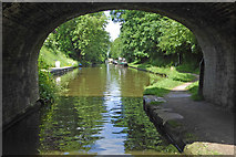 SJ8512 : Shropshire Union Canal by Wheaton Aston in Staffordshire by Roger  D Kidd