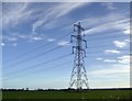 Electricity pylon near Blacktoft