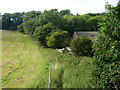 Footpath towards Norheads Lane