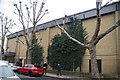 View of greenery growing on the side of the Somers Town Community Sports Centre from Chalton Street