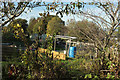 Allotments, Wolborough Hill