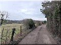 Narrow Bridleway on the Clandon Downs