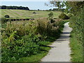 Towpath along the disused Grantham Canal