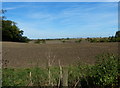 Farmland at Blue Hill