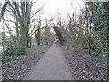 Tettenhall Path