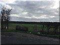 View across fields to Halsey Wood