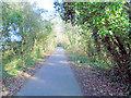 TQ5805 : Cuckoo Trail - Polegate by Paul Gillett