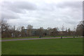 Peckham Rye Park, looking towards Harris Boys Academy