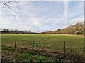 Field next to the B2039 Road