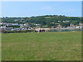 Grassy area above and to the east of Aberporth