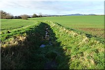 SO8544 : Stream through farmland by Philip Halling