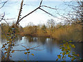 Fish Pond at Stud Green