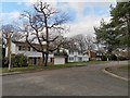 Detached Houses in St Huberts Close