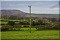 North Devon : Grassy Field