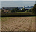 Farmland on the edge of Tollerton