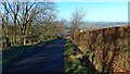 Neat hedges above Threepwood