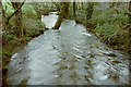 SX8171 : River Lemon at Chipley Bridge by Derek Harper