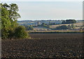 Farmland at Folly Plantation