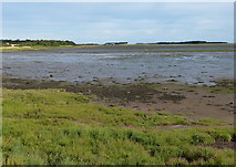 NU1434 : Budle Bay at the Lindisfarne National Nature Reserve by Mat Fascione